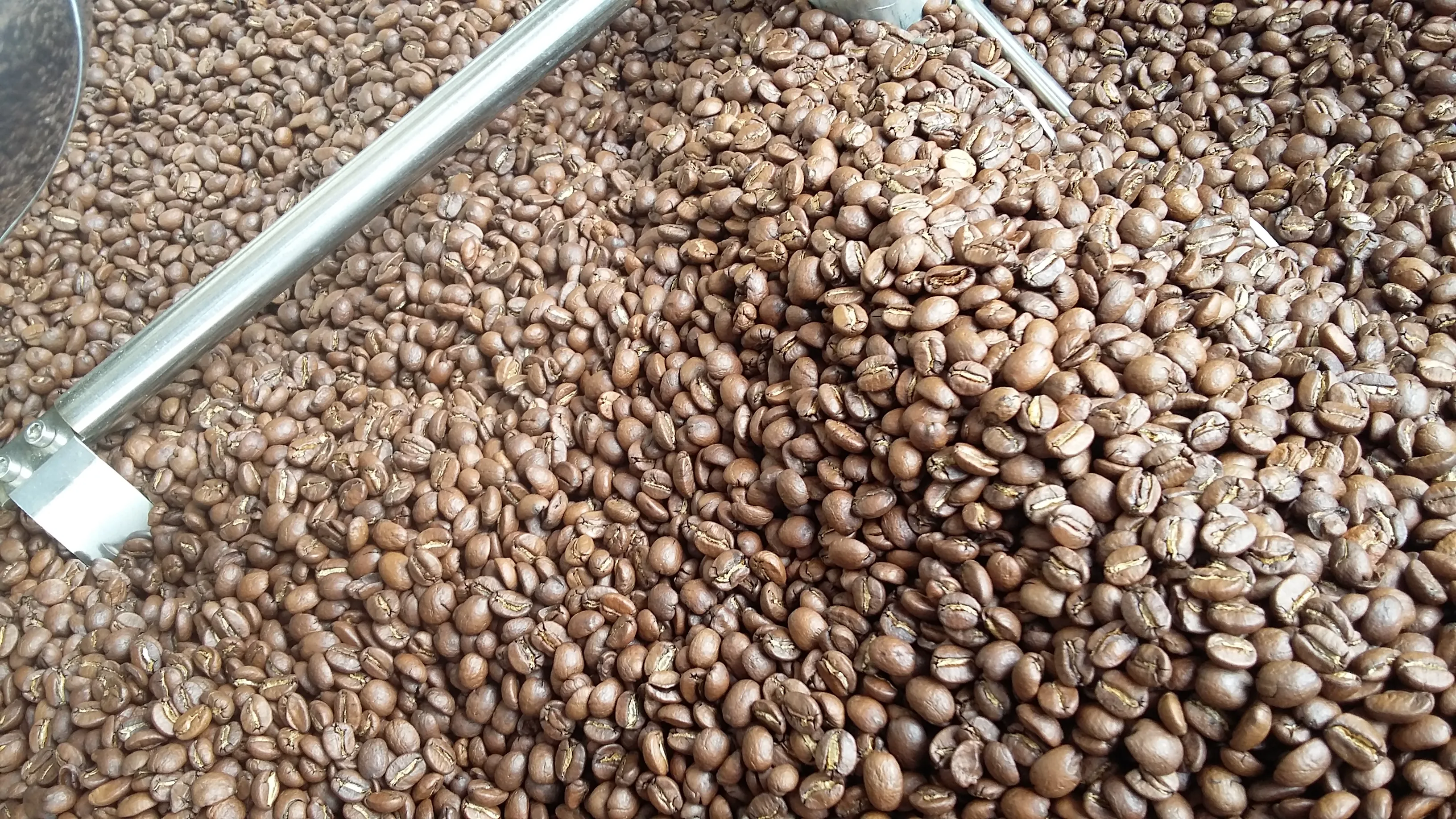 Yunnan Roasted Coffee Beans