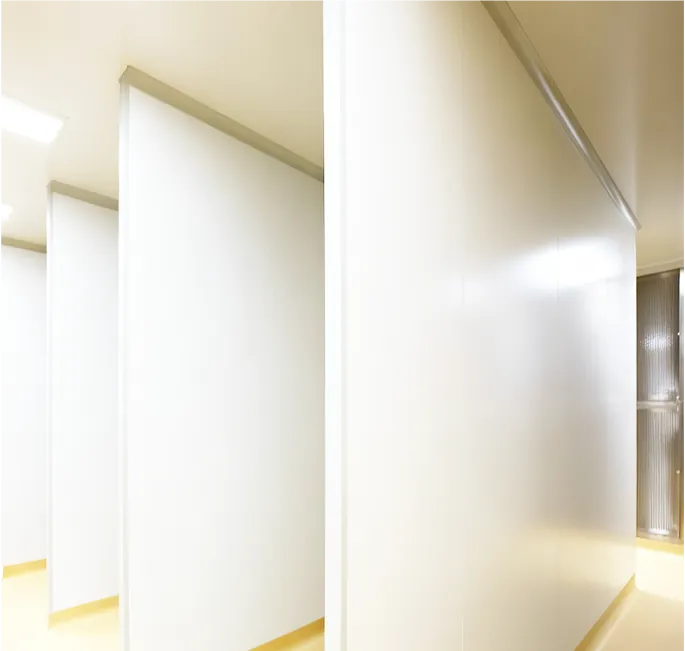 Cleanroom Panel System - Modular wall and ceiling panels for ISO Class 1-8 cleanrooms