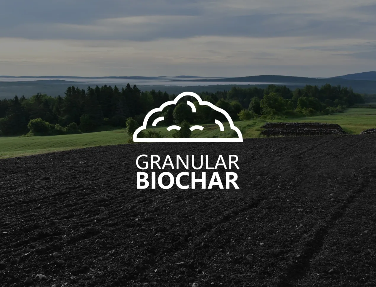 Field of biochar
