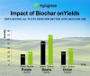 Exciting data reveals the powerful impact of biochar on crop yields!