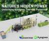 Harness Nature's Power: Unleashing the Circular Revolution in Biomass Energy