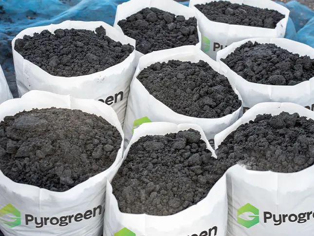 Bags of biochar