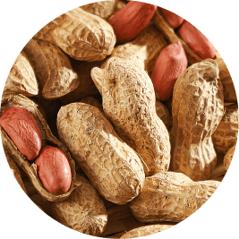 Peanut shell