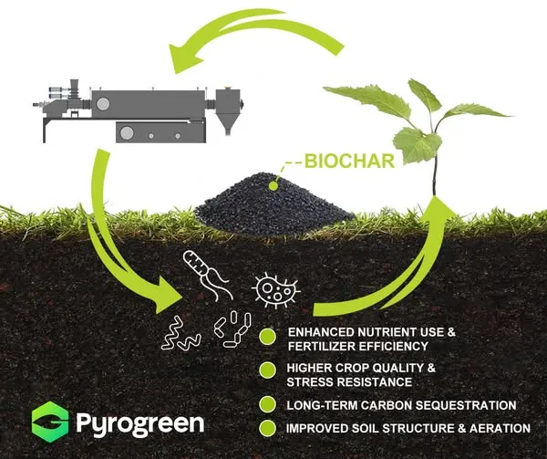 ¿Qué sucede cuando los microbios se encuentran con el biocarbón?