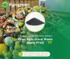 When Agricultural Waste Meets PFAS: A Perfect Circular Economy Solution