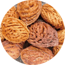 Peach kernel
