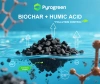 Novo Estudo Confirma: Biochar + Ácido Húmico Podem Conjuntamente Combater a Poluição da Água