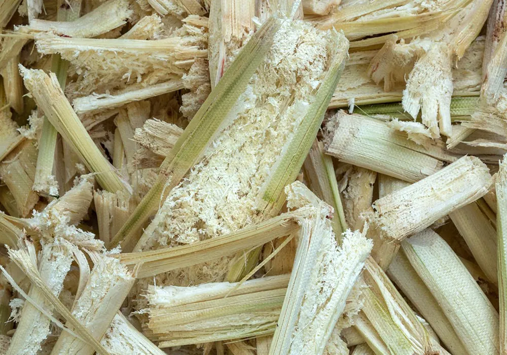 Bagasse as raw materials for Pyrogreen carbonization system