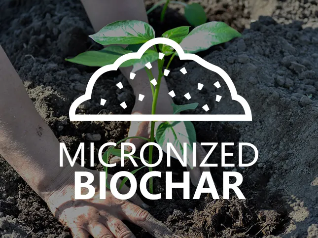 Field of biochar