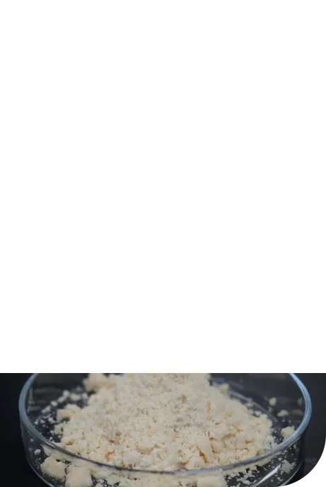 Sugar Derivatives sample