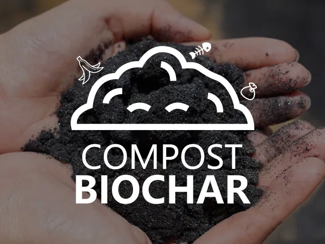Field of biochar