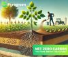 Биоуголь: Устойчивое решение для более зеленого будущего