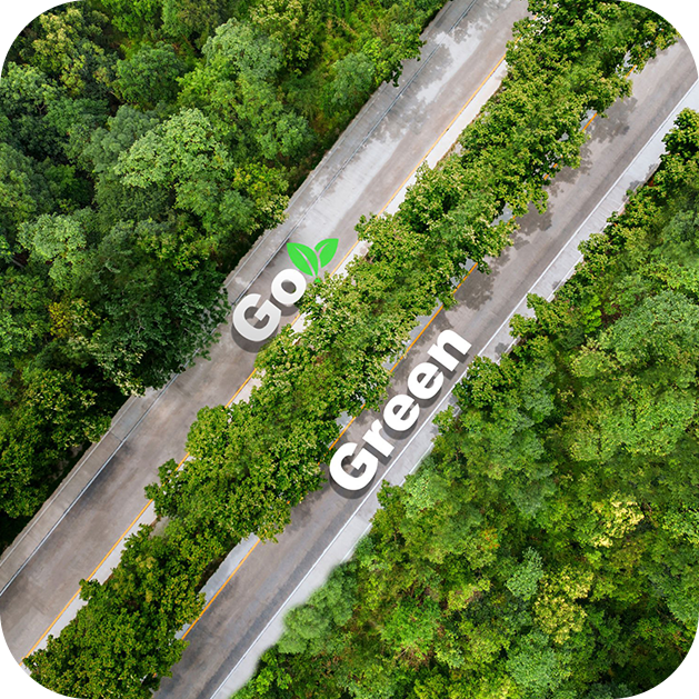 Application of Biochar in Forestry and Ecological Restoration