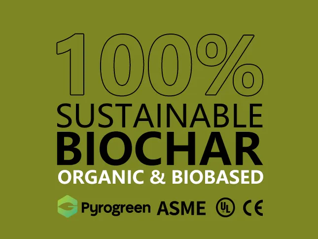 pyrogreen biomass carbon credit