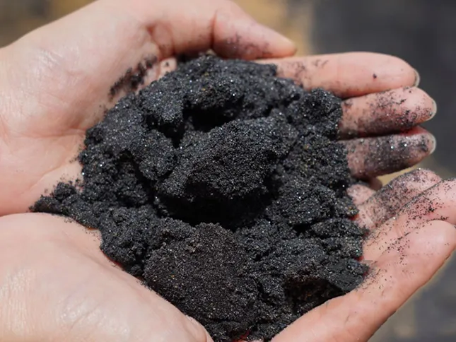 Hand holding biochar