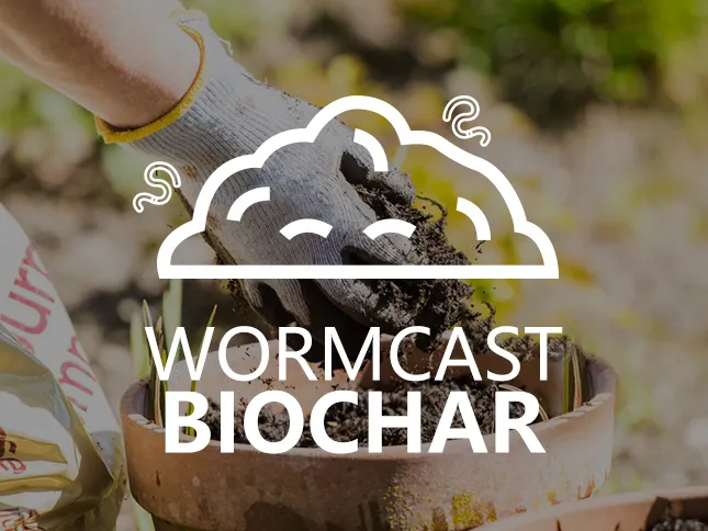 Field of biochar