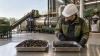 Biochar Yield vs Fixed Carbon Content: Why More Biochar Is Not Always Better