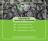 How Cashew Shell Biochar Enhances Both Material Performance and Your Company's Sustainability