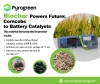 Biochar Powers the Future: How Corncobs Are Upcycled into Battery Catalysts