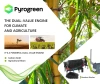 Bamboo Biochar: The Dual-Value Engine for Climate and Agriculture