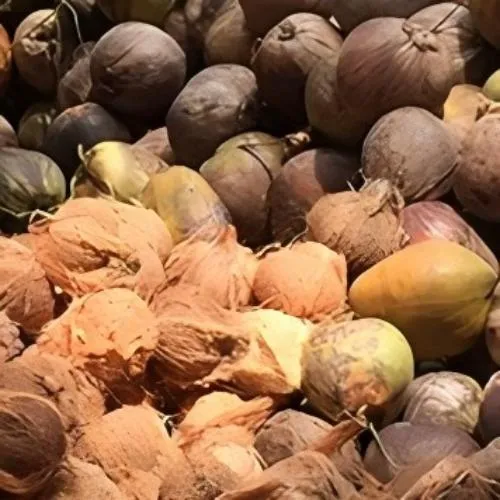 Coconut shells as raw material for continuous pyrolysis plant