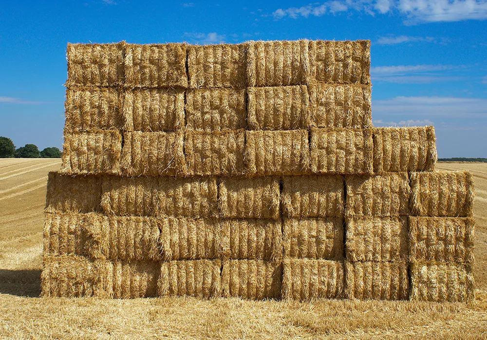 Grainstraw as raw materials for Pyrogreen carbonization system