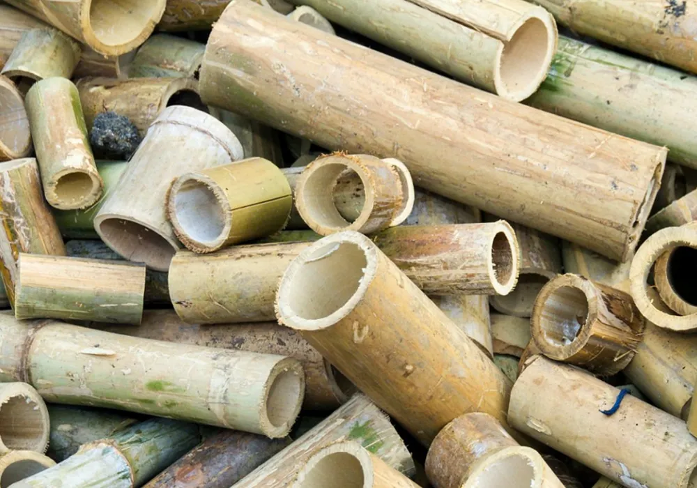 Bambooprocessingwaste as raw materials for Pyrogreen carbonization system