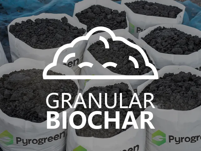 Field of biochar