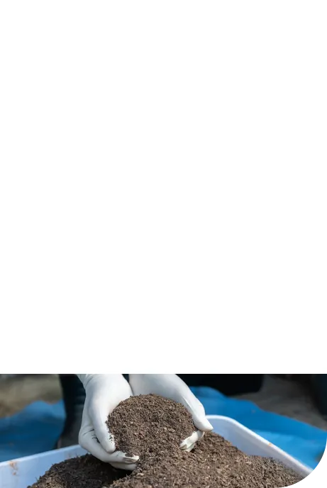 Fragrances and Fertilizers production