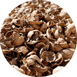 Walnut shell