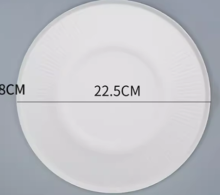 Assiette peu profonde de 9