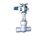 International Power Station Gate Valve