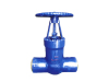 Pound-Class Power Station Gate Valve