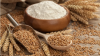 From Laboratory to Field: The Practicality of Multiple Grain Composition Analysis Instruments