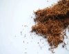 Tobacco's Invisible Analyst: How NIR Spectroscopy Revolutionizes Tobacco Manufacturing Introduction