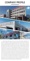 The Industrial Heartbeat: Inside Bosiwei’s 80,000-Square-Metre Smart Lighting Hub