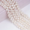 ไข่มุก STrand China 5-6mm สีขาว รูปทรงหูข้าวสาลี ไข่มุกน้ำจืดสาย DK9746