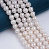 12-13mm สายไข่มุกมันฝรั่งสีขาว ซัพพลายเออร์ไข่มุกน้ำจืด DK9734