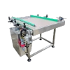Jerrycan Canister Bottle Feeding Conveyor TOTT-1B