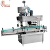Linear Screw Capping Machine TOIC-6B
