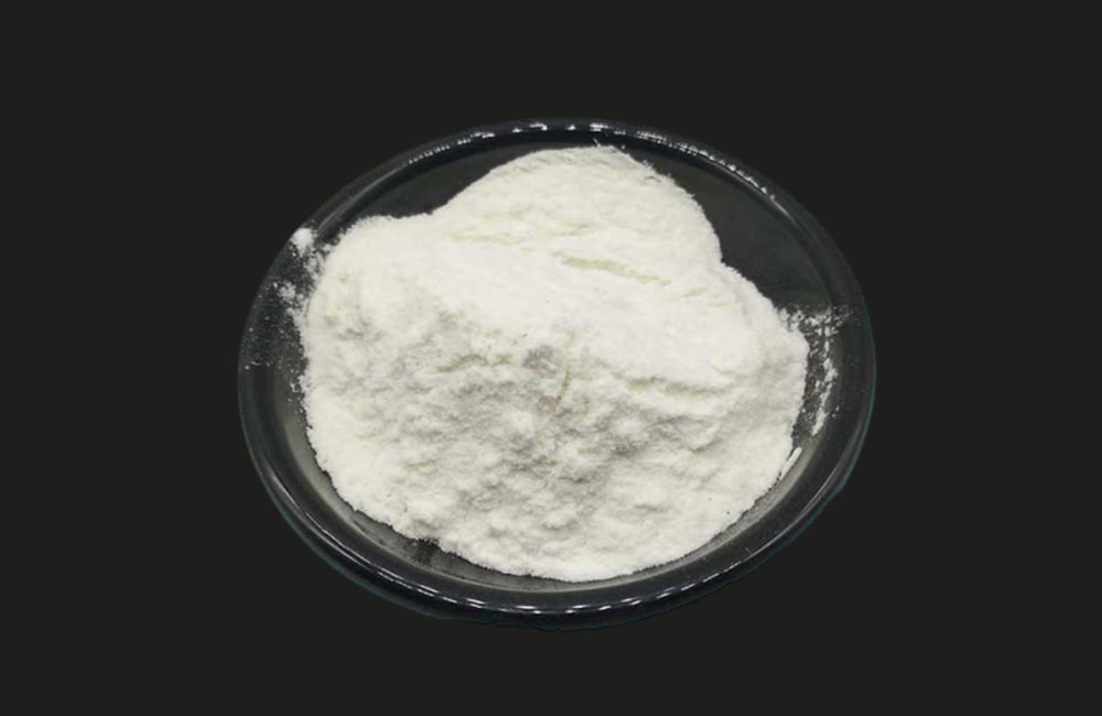 Insoluble Polyvinylpolypyrrolidone (PVPP)
