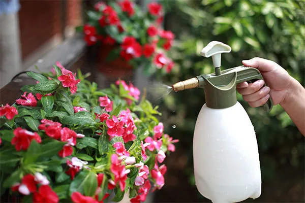 Deluxe 2L Sprayer