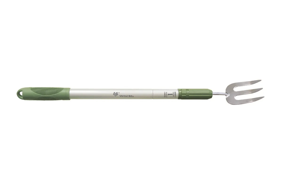 Fork