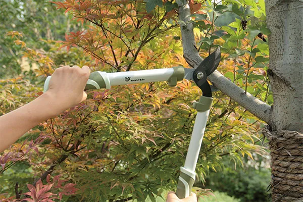Mini Professional Bypass Lopper