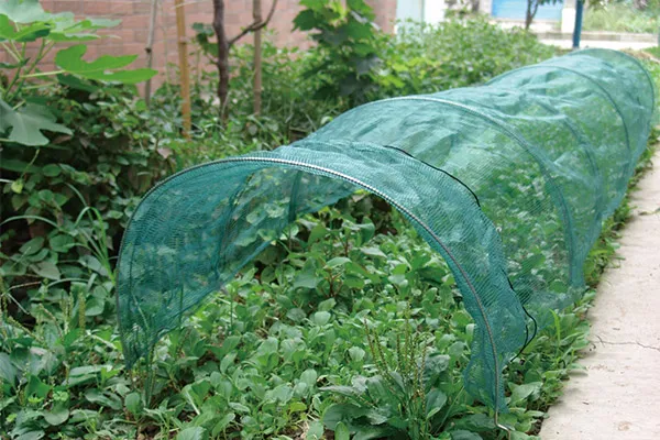 Net Tunnel