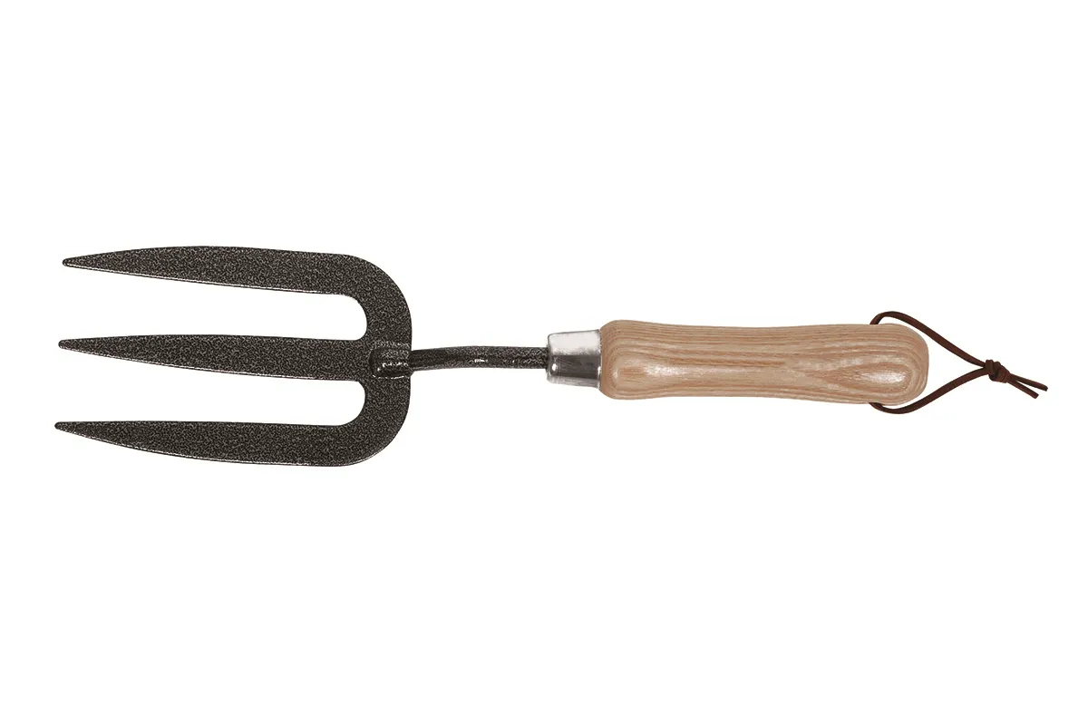 Fork