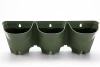 Wall Planter