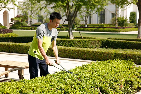 8'' Standard Hedge Shears