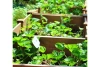 Cedar Raised Garden Bed