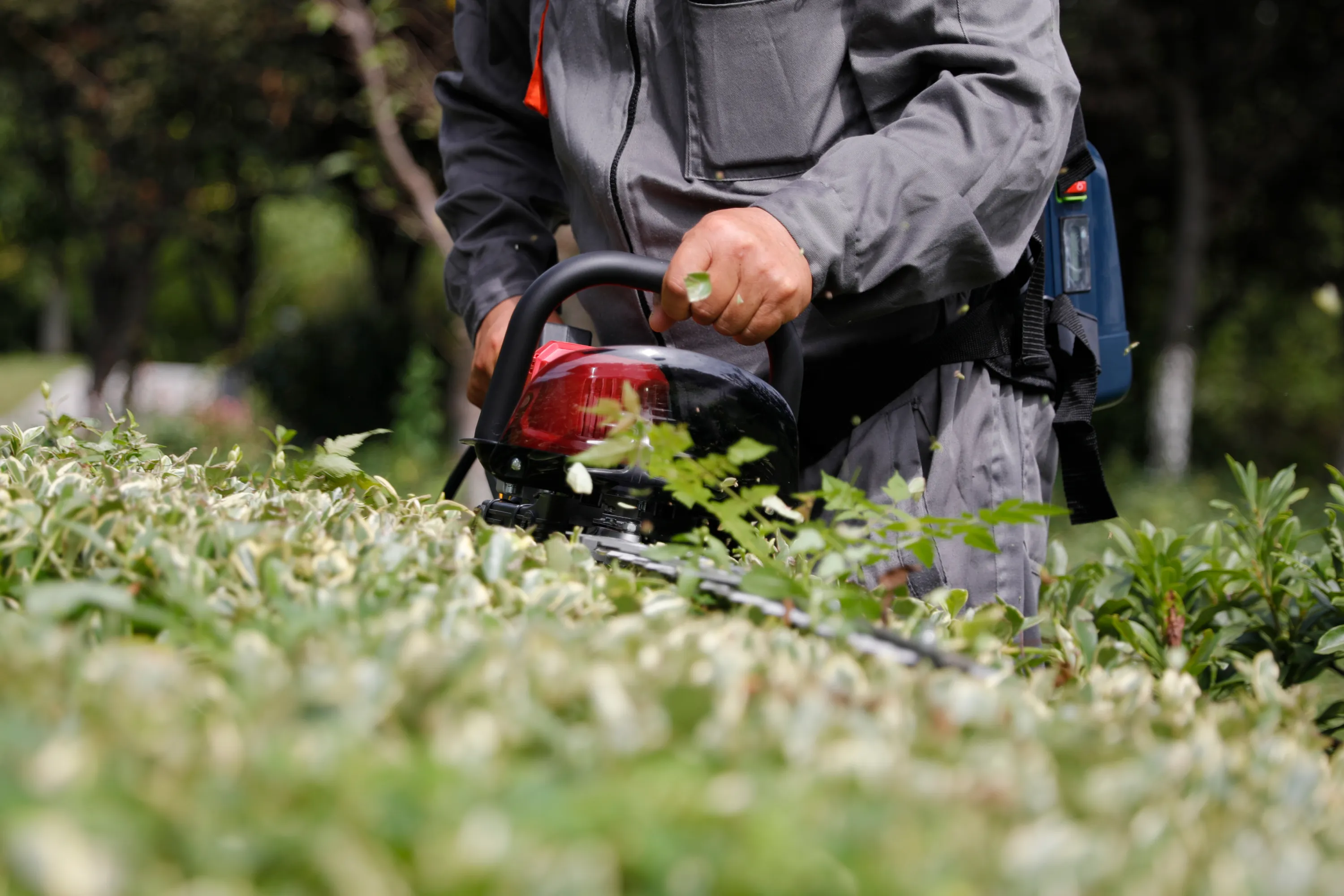 Commercial PowerMax 72V Hedge Trimmer